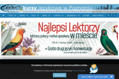 PERFECT Kursy Językowe - Język Angielski Poznań
