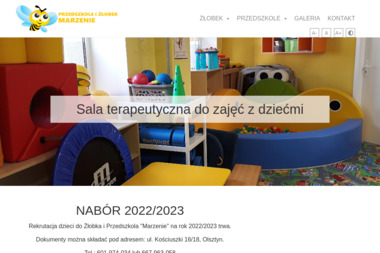 Niepubliczne Przedszkole i Żłobek Marzenie - Niania Olsztyn