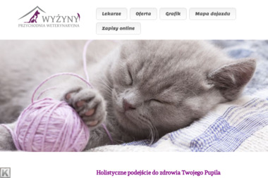 Przychodnia Weterynaryjna Wyżyny - Weterynarz Warszawa
