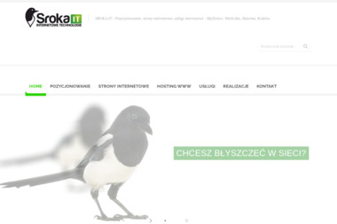 Sroka.IT - Tworzenie Stron www Sułkowice