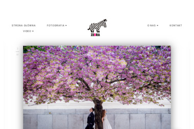 Zebra - Studio multimedialne - Kamerzysta Rzeszów