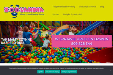 Plac Zabaw Zoolandia - Nianie Wodzisław Śląski