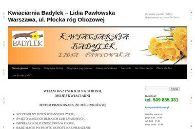 Kwiaciarnia Badylek Lidia Pawłowska. Kwiaty, bukiet, florystyka - Paczki Mikołajkowe Dla Dzieci Warszawa