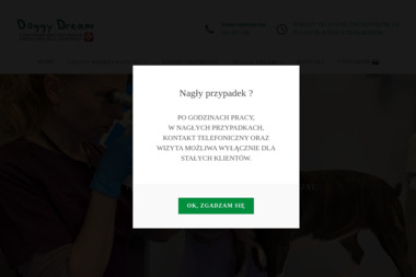 Doggy Dream Anna Jezierska. Weterynarz, strzyżenie i pielęgnacja zwierząt - Usługi Weterynaryjne Ozimek