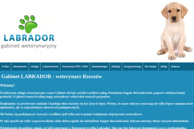 Lecznica dla zwierząt LABRADOR - Usługi Weterynaryjne Rzeszów