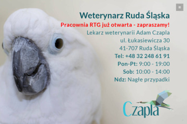 Weterynarz Ruda Śląska - Lecznica Dla Zwierząt Ruda Śląska