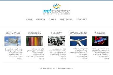 Net Essence. Agencja marketingu interaktywnego - Grafik Pruszcz Gdański