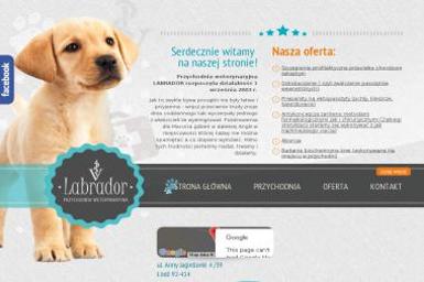 Labrador Agnieszka Szczepanik Tomasz Szczepanik S.C. - Gabinety lekarskie i kosmetyczne Łódź