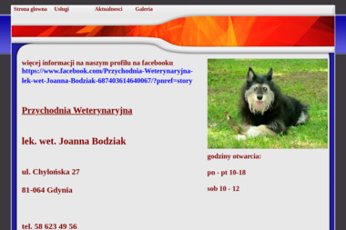 Joanna Bodziak Lekarz Weterynarii - Weterynarz Gdynia