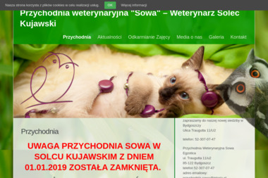 Sowa. Przychodnia Weterynaryjna Paula Dziubińska Marta Klubińska S.C. - Leczenie Zwierząt Solec Kujawski