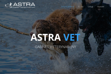 Astra VET - Usługi Weterynaryjne Rzeszów