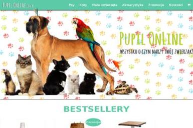 F.H. Pupil Online Anna Hennig