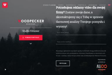 WoodPecker Motion Pictures - Grafik Warszawa