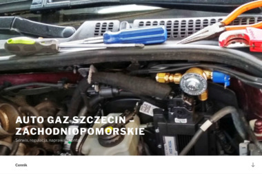 APS Auto Gaz - Montaż LPG Sosnowiec