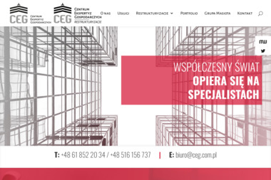 Centrum Ekspertyz Gospodarczych Fundacji Akademii Ekonomicznej Sp. z o.o. - Wartość Firmy Poznań