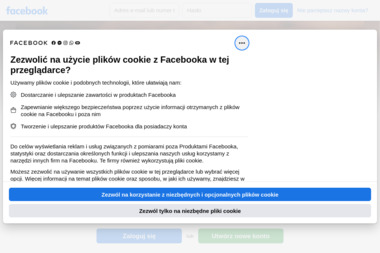 Stajnia Wiking-eventy, imprezy integracyjne, wczasy w siodle - Oferty Wycieczek Złoty Potok