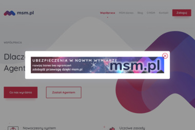 Studio Florystyczne MSM - Dekorator wnętrz Toruń