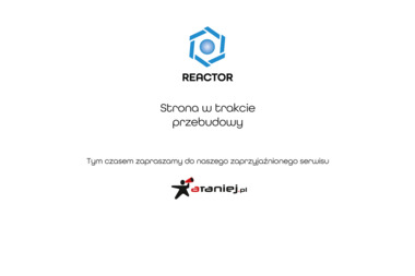 REACTOR Multimedia Partner - Usługi Komputerowe Pabianice