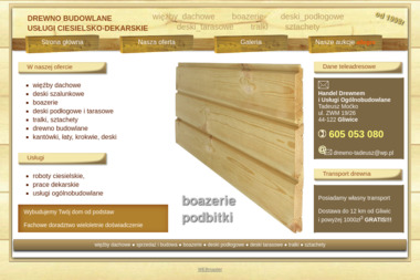 Handel Drewnem  i Usługi Ogólnobudowlane Tadeusz Moćko - Czyszczenie Dachu Gliwice