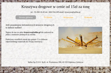Sellus Sp.Z O.O. Sp.K. - Piasek Budowlany Dąbrowa Górnicza