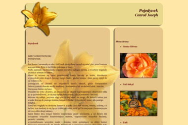 Szkoła Pływania &bdquo;Rekinek BIS&rdquo; - Nauka Pływania Warszawa