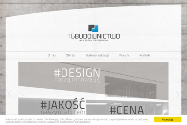 TG Budownictwo - Usługi Malarskie Poznań