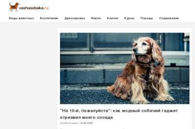 Biuro Usług Rachunkowych Mirosława Renata Pajewska - Biuro rachunkowe Zgorzelec