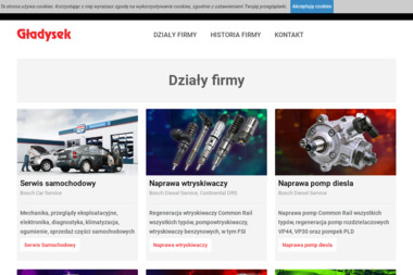 Gładysek Bosch Service - Naprawa Samochodów Kraków