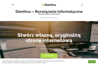 Dianthus Michał Robert Goździk - Projektowanie Stron www Tomaszów Mazowiecki