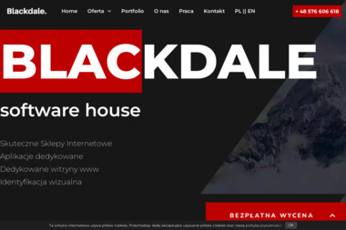 Blackdale - Reklama internetowa Warszawa
