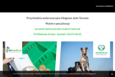 Klinika Weterynaryjna AVIMEDICUS - Leczenie Zwierząt Dobrzejewice