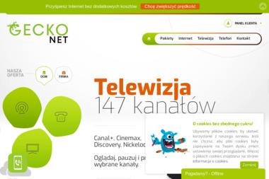 Geckonet sp. z o.o. - Instalatorstwo telekomunikacyjne Świecie
