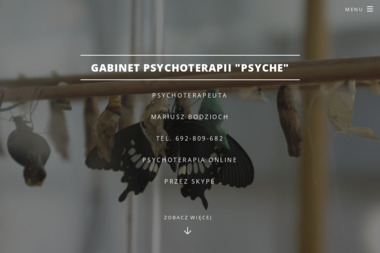 Gabinet Psychoterapii "PSYCHE" - Psychoterapia Lubliniec