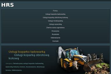 HRS Sebastian Ratajczyk - Odśnieżanie dachów Aleksandrów Łódzki