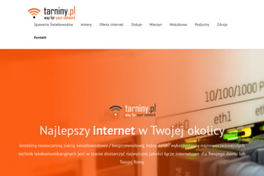 Tarniny.PL - Usługi IT Mierzyn