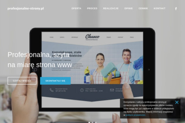 Profesjonalne Strony - Projektant Stron Internetowych Olsztyn