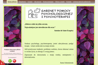 Gabinet pomocy psychologicznej i psychoterapii - Poradnia Psychologiczna Dąbrowa Górnicza