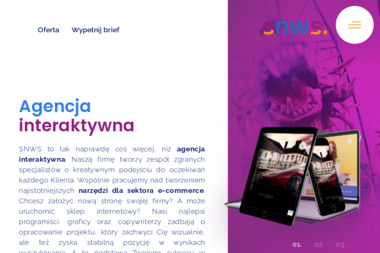 SNWS Sp. z o.o. - Obsługa Stron www Bydgoszcz