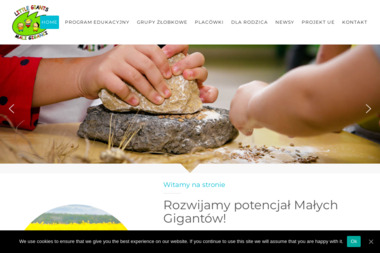 Zespół Przedszkolno-Żłobkowy Montessori LITTLE GIANTS – MALI GIGANCI - Przedszkole Pszczyna