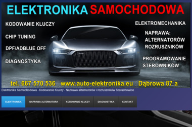 Auto Elektronika - Elektronik Samochodowy Starachowice