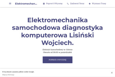 Elektromechanika samochodowa diagnostyka komputerowa Lisiński Wojciech. - Warsztat Samochodowy Górzno