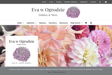 Klub Urody EK - Pedicure Leczniczy Mrągowo