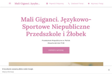 Mali Giganci - Żłobek Na Godziny Płońsk