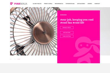 Pink Ninja Klimatyzacja - Świetny Serwis Rekuperacji Łódź