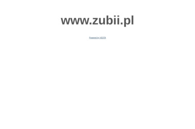Zakład Usług Budowlanych i Instalacyjnych ZUBII - Konserwacja Kotłowni Wałbrzych