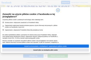 Przedszkole, Żłobek, Sala Zabaw "Zaczarowany Parasol" - Opieka Nad Dziećmi Jelenia Góra