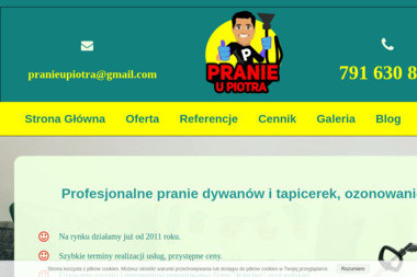 Profesjonalne usługi czyszczące Piotr Czerski - Pranie Dywanów Grudziądz