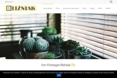 Bliźniak - Bramy garażowe Słupsk
