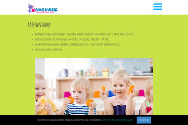 Niepubliczne Przedszkole i Żłobek "KANGUREK" - Żłobek Płońsk