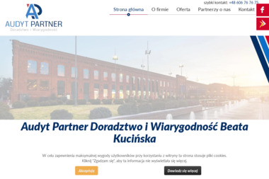 Audyt Partner - Doradztwo w Zakresie Prowadzenia Działalności Gospodarczej Łódź